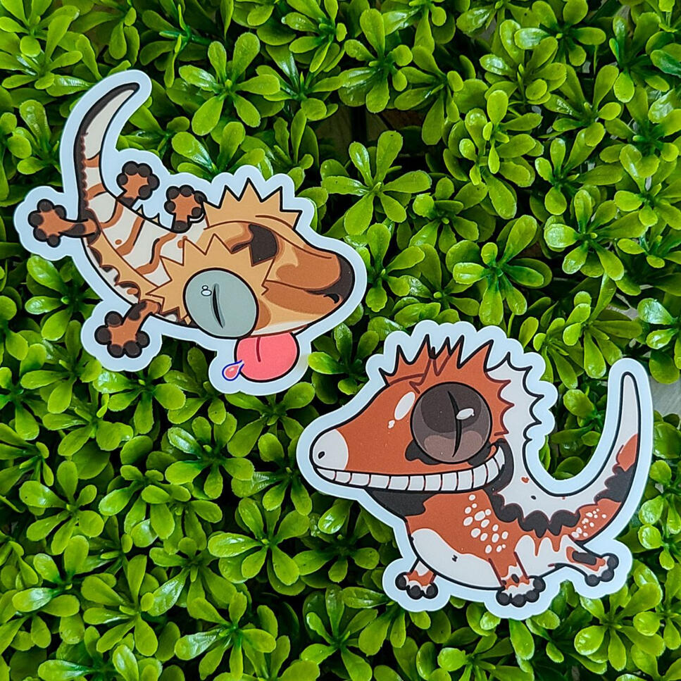 Two brown, white, and black crested geckos lying on a green, leafy background.